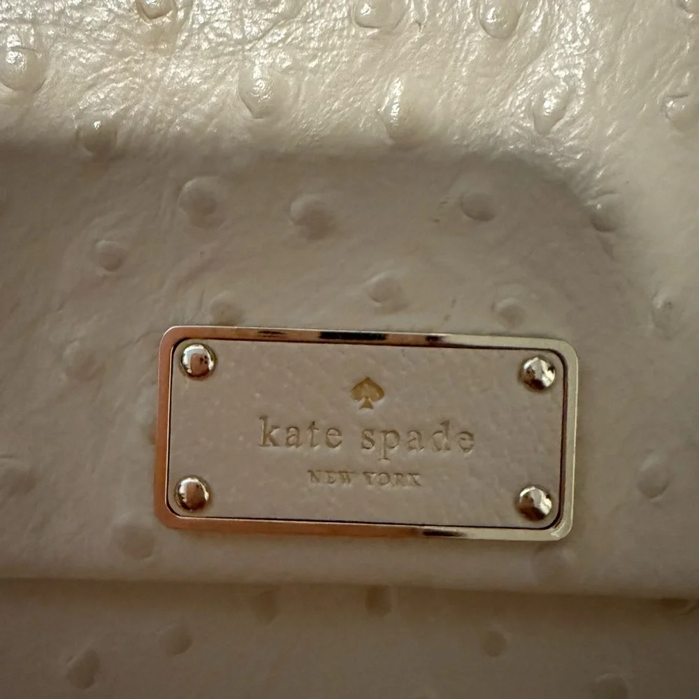 Kate spade crossbody bag Please